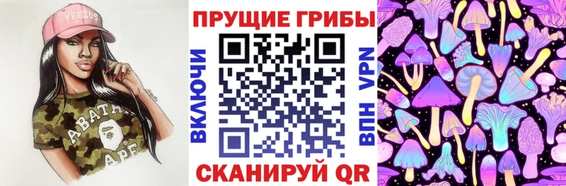 Псилоцибиновые грибы GOLDEN TEACHER площадка формула Сертолово
