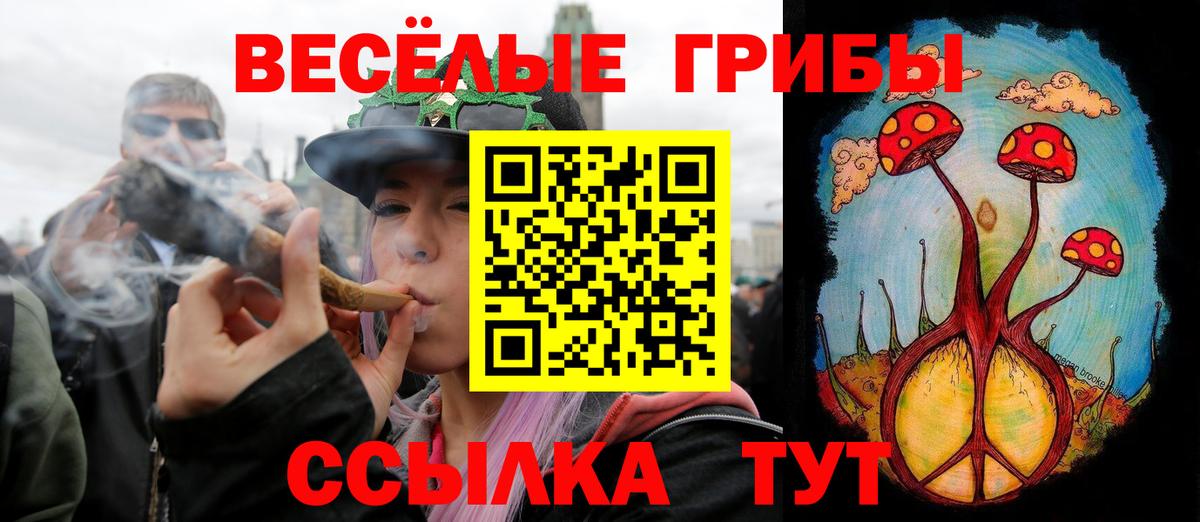 Галлюциногенные грибы Psilocybine cubensis  Вход с VPN  Сертолово 